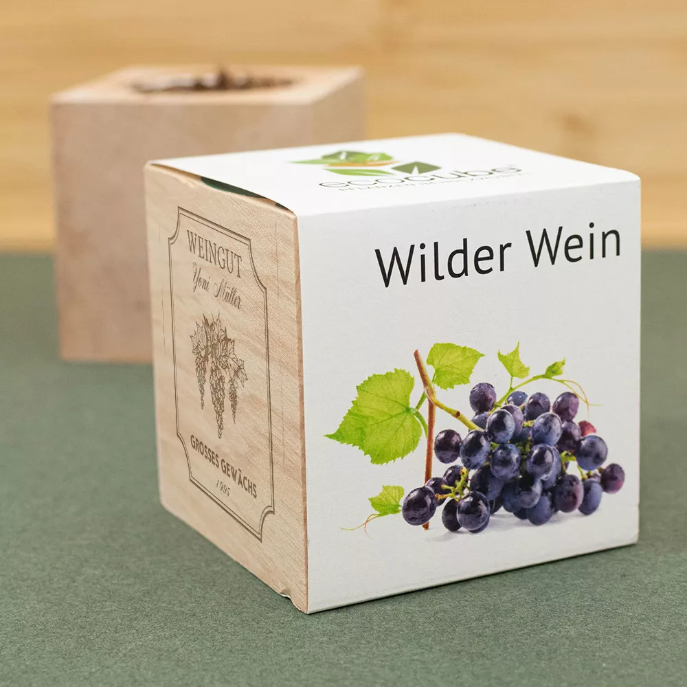 EcoCube Wein zum Personalisieren