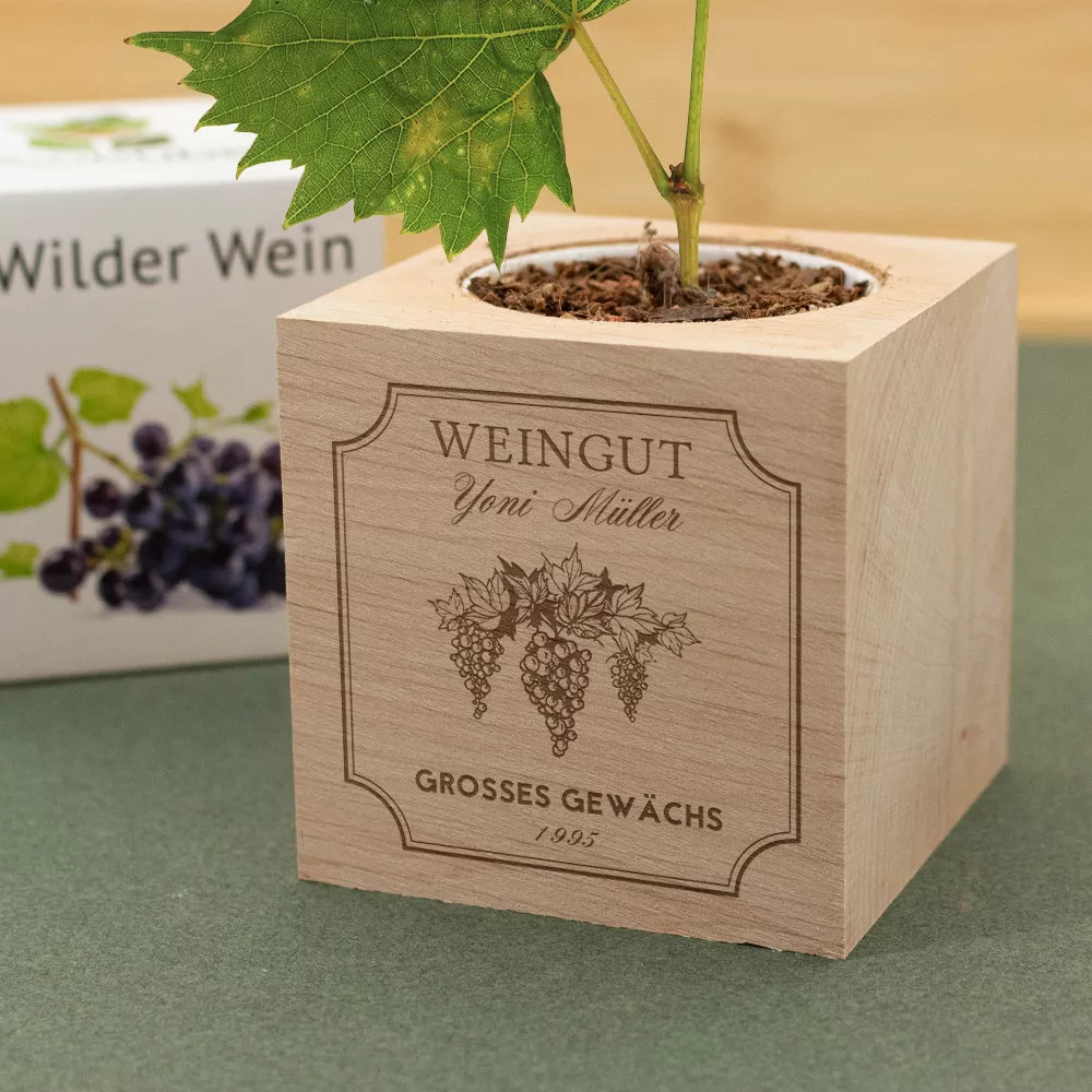 EcoCube Wein zum Personalisieren