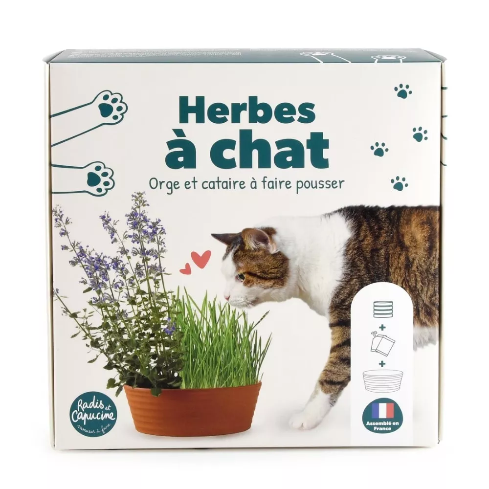 Katzengras-Set