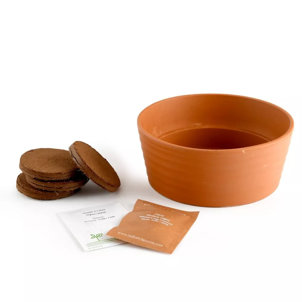 Katzengras-Set