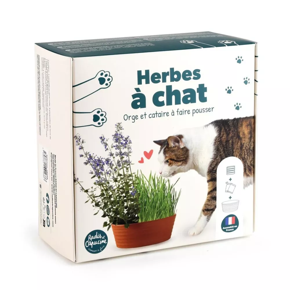 Katzengras-Set