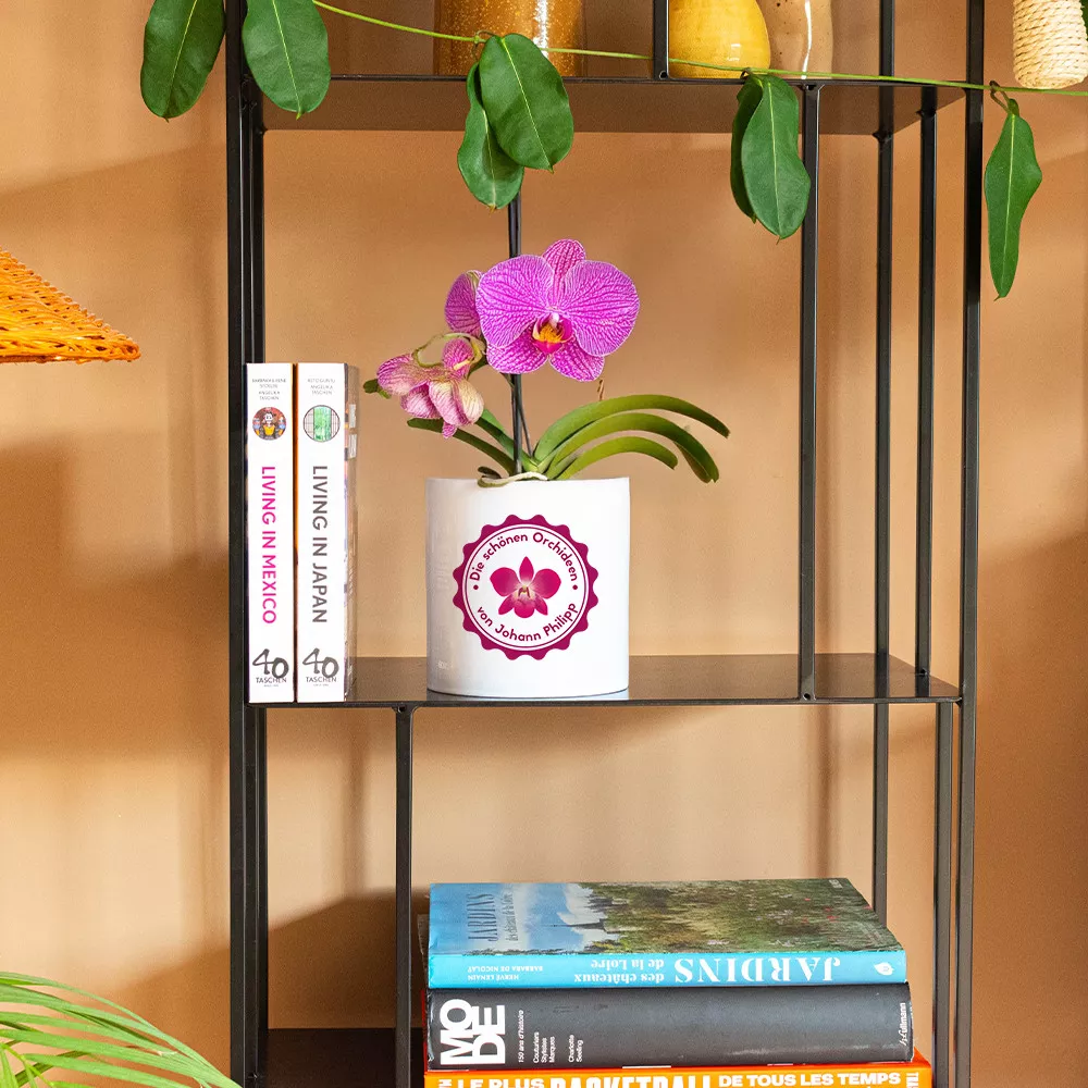 Personalisierbarer Orchideen-Blumentopf