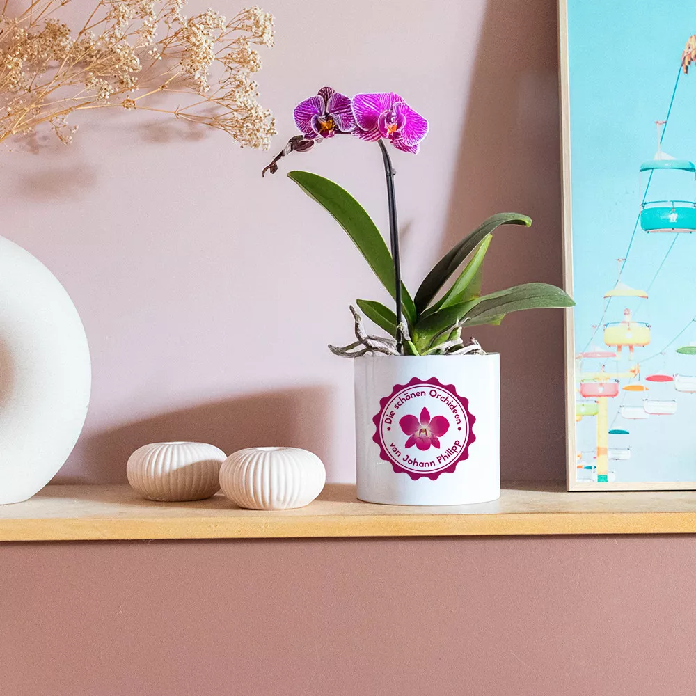 Personalisierbarer Orchideen-Blumentopf