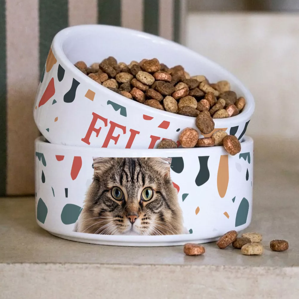 Hundenapf und Katzennapf Foto zum Personalisieren