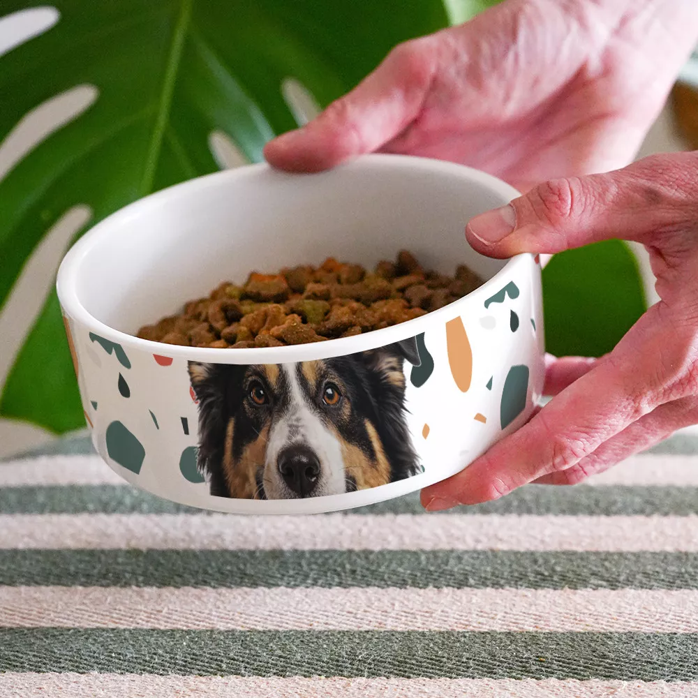 Hundenapf und Katzennapf Foto zum Personalisieren
