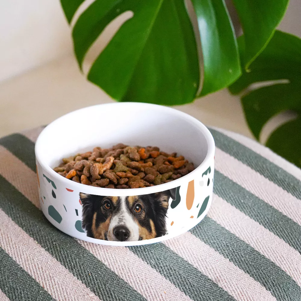 Hundenapf und Katzennapf Foto zum Personalisieren