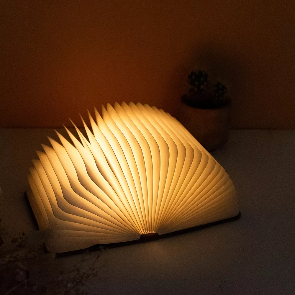 LED-Lichtbuch Mein Leben Personalisierbares