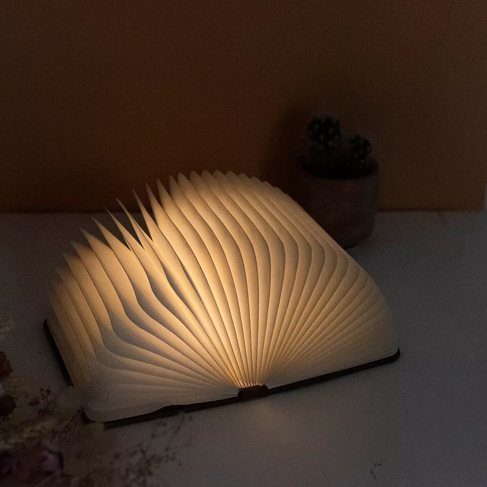 LED-Lichtbuch Mein Leben Personalisierbares