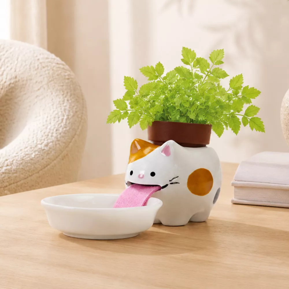 Peropon Pflanzset Katze Walderdbeere