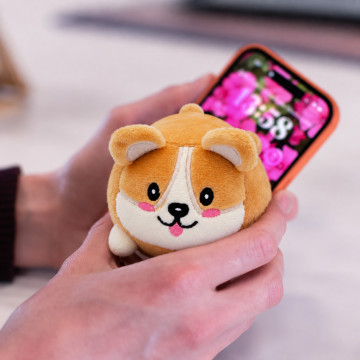 Corgi-Bildschirmreiniger Winston