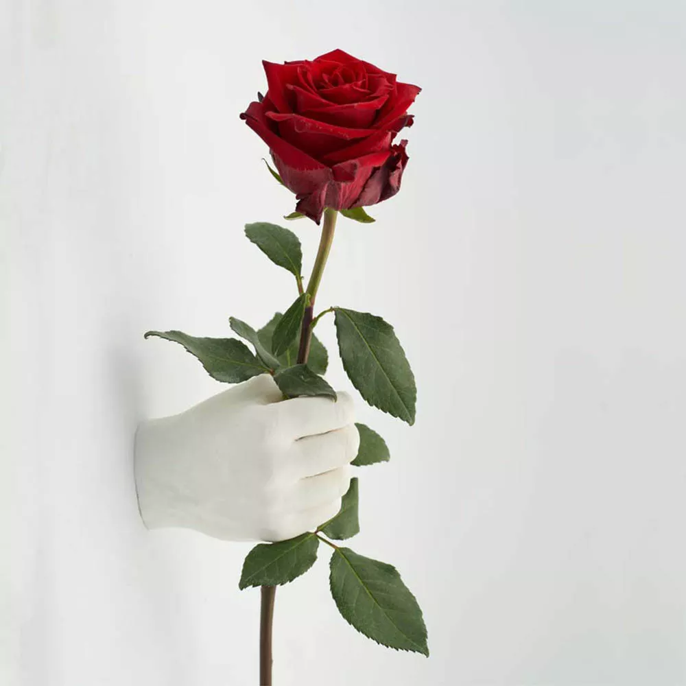 3D-Handabdruck-Set für zwei Hände aus Gips