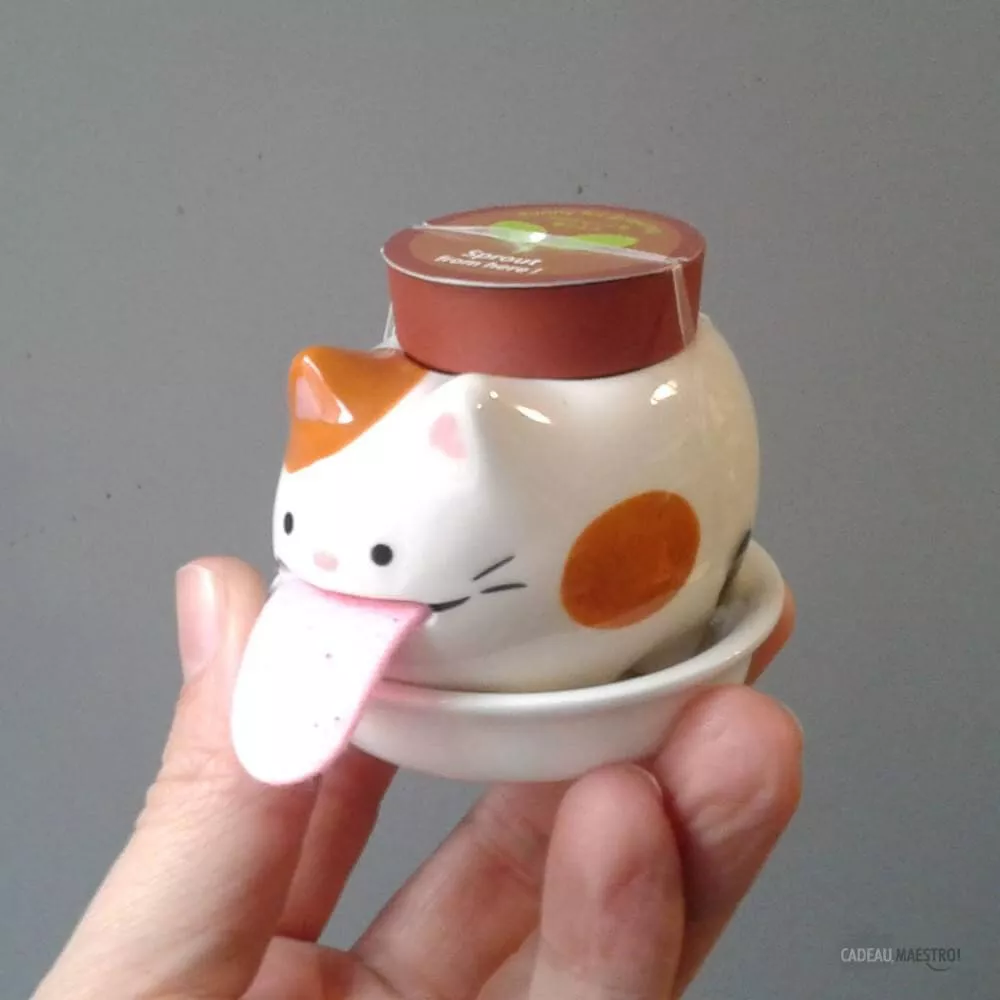 Peropon Pflanzset Katze Walderdbeere Miaou !