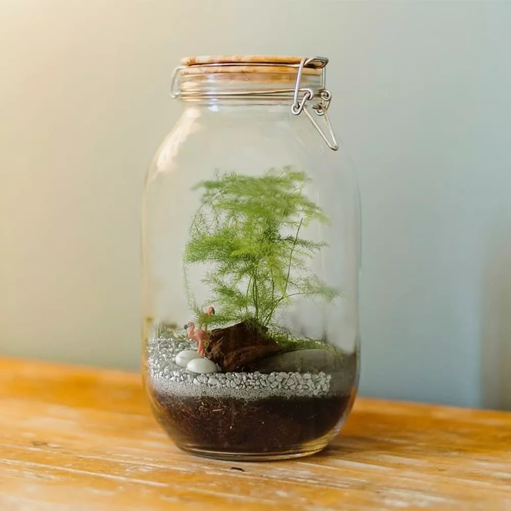 DIY-Terrarium-Set Terrarium à créer soi-même