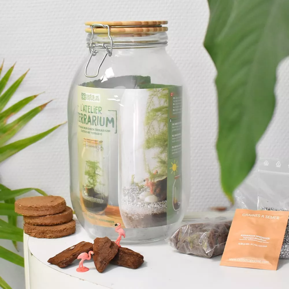 DIY-Terrarium-Set Tous les accessoires pour créer son propre terrarium