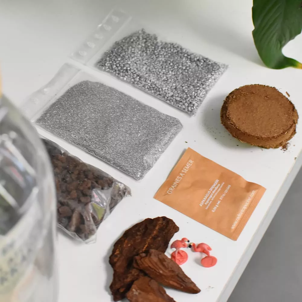 DIY-Terrarium-Set Graines à semer