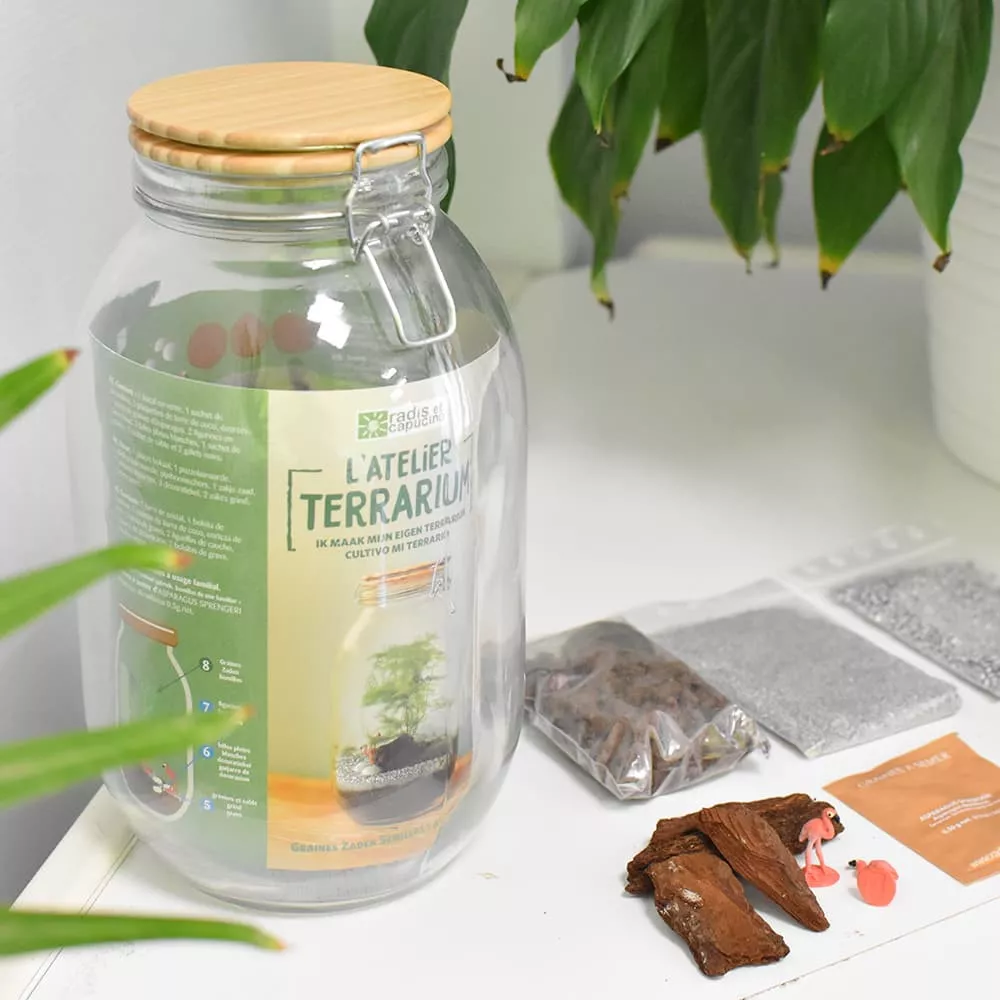 DIY-Terrarium-Set Grand bocal en verre pour terrarium