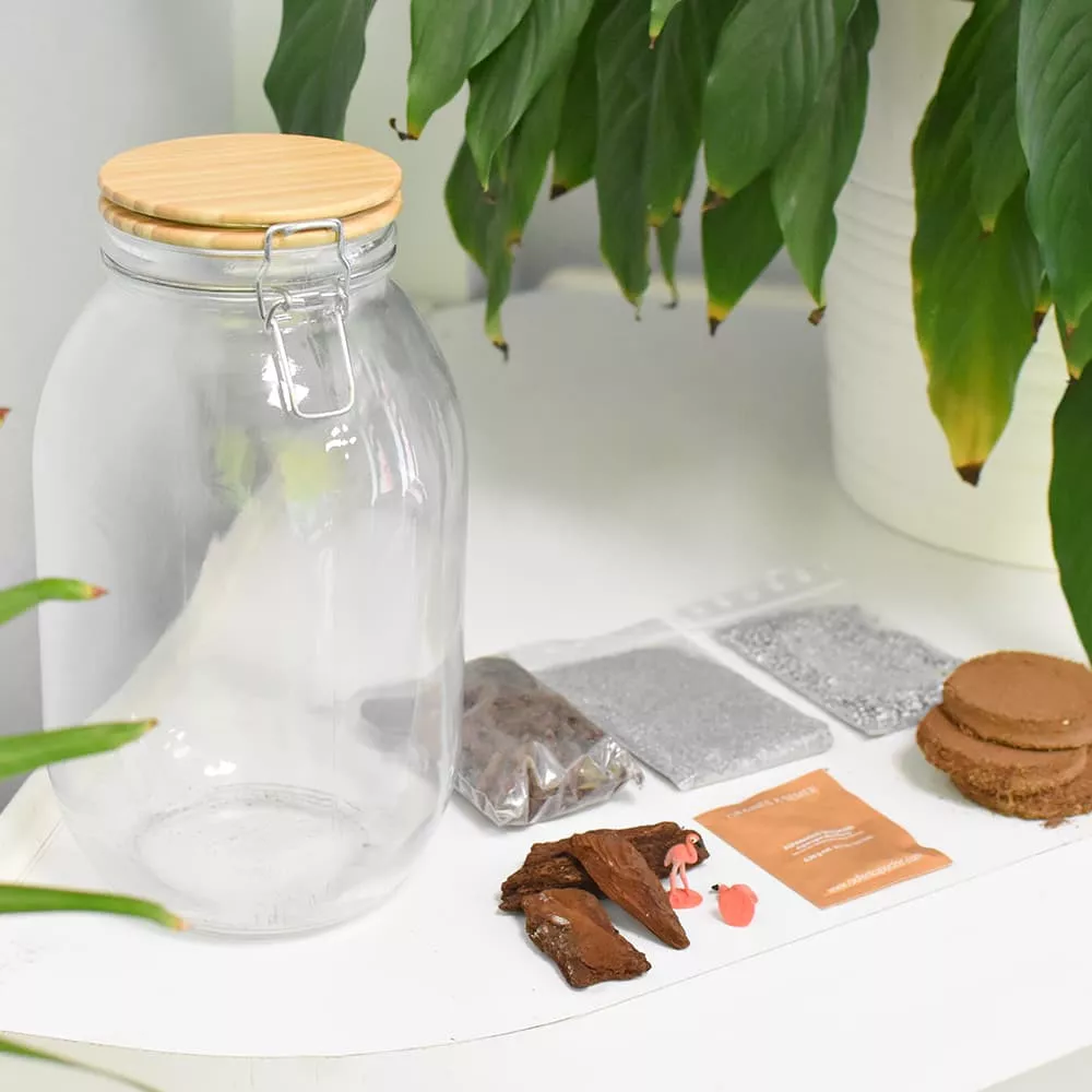 DIY-Terrarium-Set Réalisez votre propre terrarium