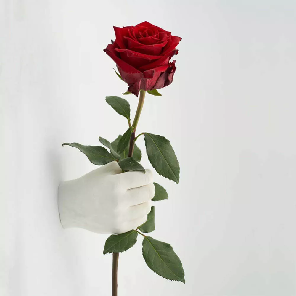 3D-Handabdruck-Set für Familien aus Gips soliflore original
