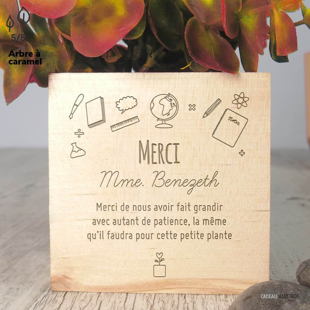 EcoCube „Danke, liebe Lehrerin“ zum Personalisieren